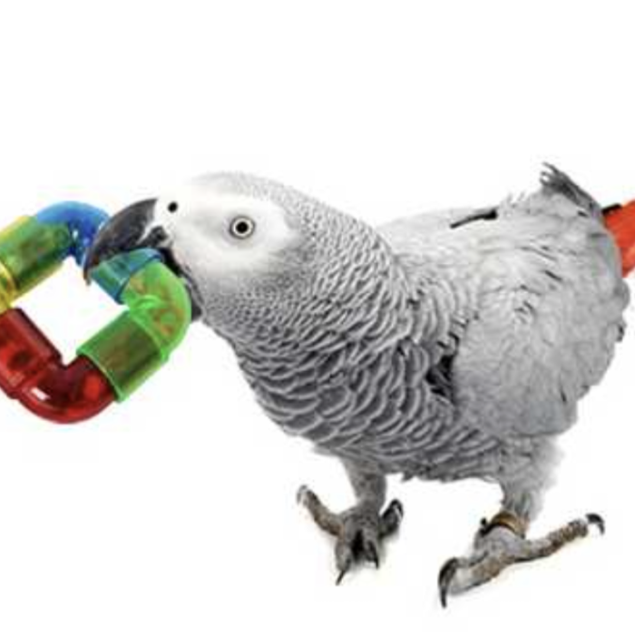 c8a92bc7aa83a59e9bc15b9ed6f54ee2.png